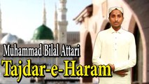 Muhammad Bilal Attari - Tajdar-e-Haram
