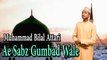 Muhammad Bilal Attari - Ae Sabz Gumbad Wale
