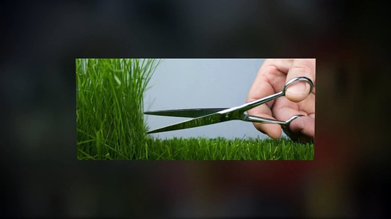 Denver Lawn Mowing