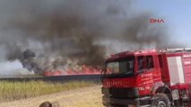 Ankara Gölbaşında Sazlık ve Otluk Alanda Yangın