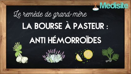 Le remède de grand-mère anti-hémorroïdes : la bourse à pasteur