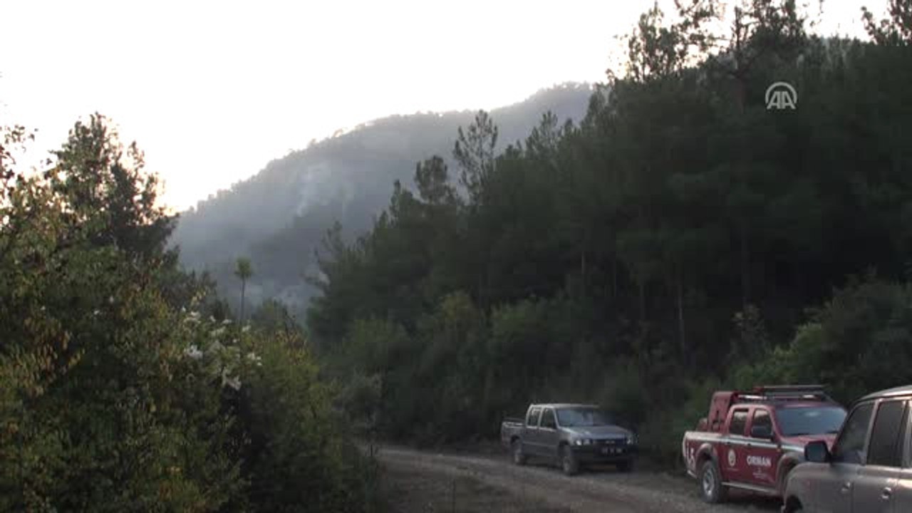 Orman Yangını