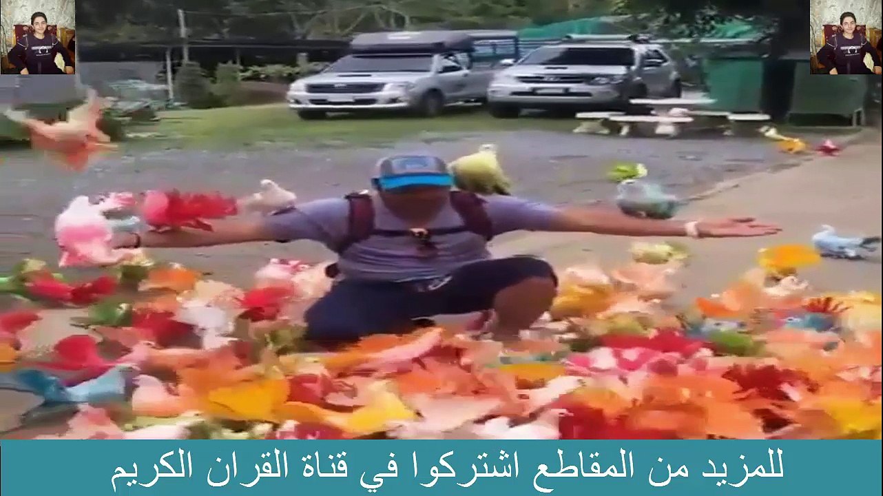 شاهد روعه لا تستطيع وصفها