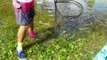 FISH IN THE STREET During FLOODING HURRICANE! Saving 100s of EXOTIC Fish!