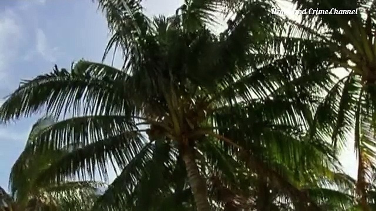 Zoe Pound Documentary - Shocking Haitian Miami Street Gang Crime Family Biography