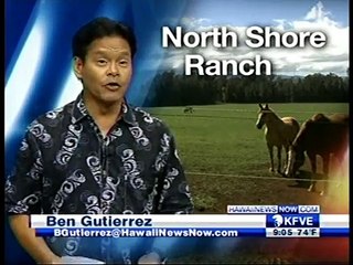 Sunset Ranch Hawaii-  Conservation Easement