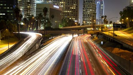 Predicen una sexta extinción masiva para 2100