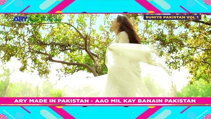 Rang ishq Da {Full Song} - Singer: Raga Boyz - ARY Mip