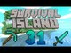 Island Improvements! - (Minecraft Survival Island) - Episode 31