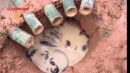 Un piège à poissons avec du bambou qui fonctionne à merveille