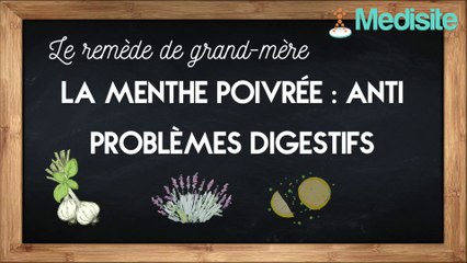 Remède de grand-mère anti-problèmes digestifs : la menthe