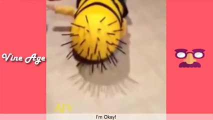 Try Not To Laugh Watching America's Funniest Home Videos - Vine Age✔