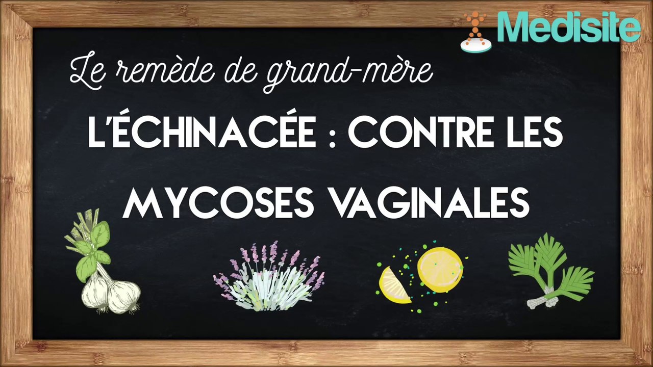Remède de grand-mère contre les mycoses vaginales : l’échinacée
