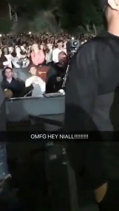 Niall Horan Spotted At Harry Styles's LA Concert