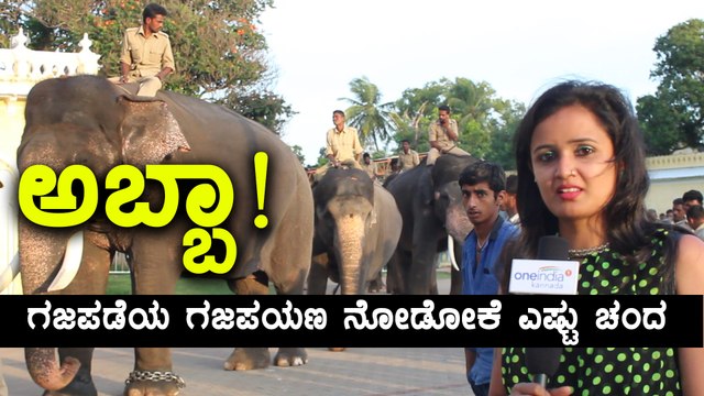 Mysore Dasara 2017 : Elephants are all set for Elephant March ( Gajapayana ) on Vijayadashami