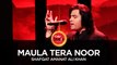 Shafqat Amanat Ali Khan, Maula Tera Noor, Coke Studio Season 10, Season Finale