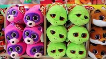 Ty Teeny Tys Full Display Set Up Ty Beanie Boo Doll Collection Beanie Boos