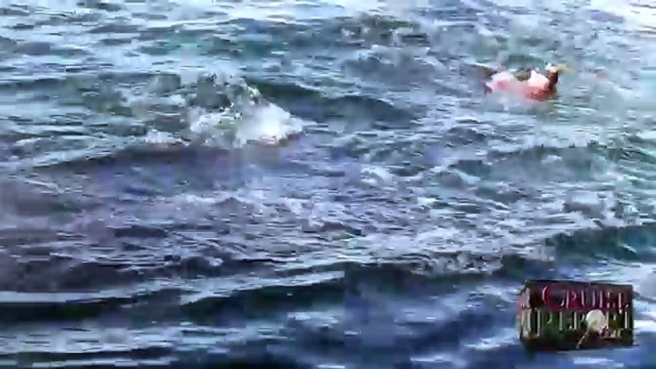 Leopard Seal Kills Adelie Penguin in Antarctica