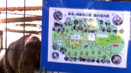 Yumemigasaki Zoo Part 4 (Kawasaki City)