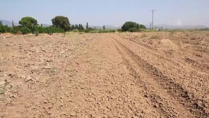 Tarım Arazilerinde Taşlar Makine ile Toplanacak