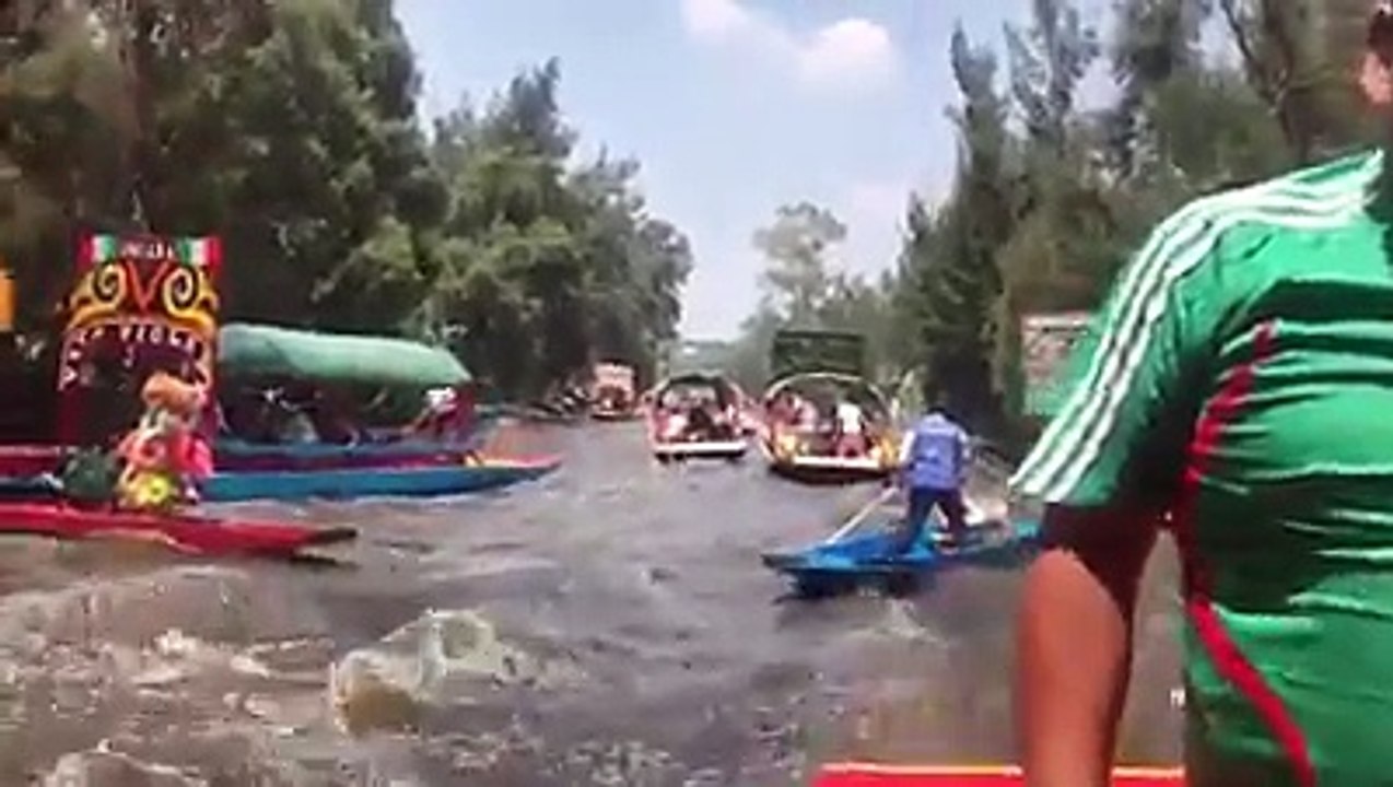 Mexico Earth quick Live Video