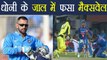 India Vs Aus 2nd ODI: MS Dhoni removes Maxwell with his trick behind stumps | वनइंडिया हिंदी