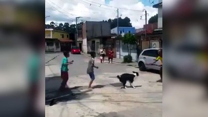 Un chien fait de la corde à sauter avec des enfants !