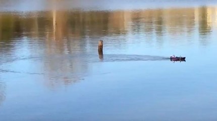 Une nouvelle façon de pêcher !