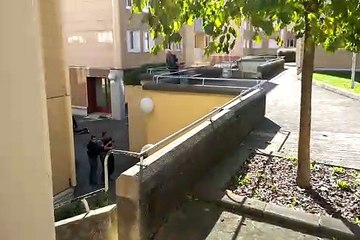 Bourgoin-Jallieu : deux hommes armés interpellés