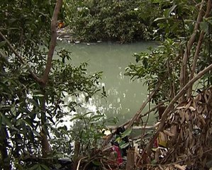 Un cuerpo fue encontrado sin cabeza al sur de Guayaquil