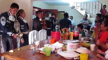 Desmadre de mariachi - El mono de alambre