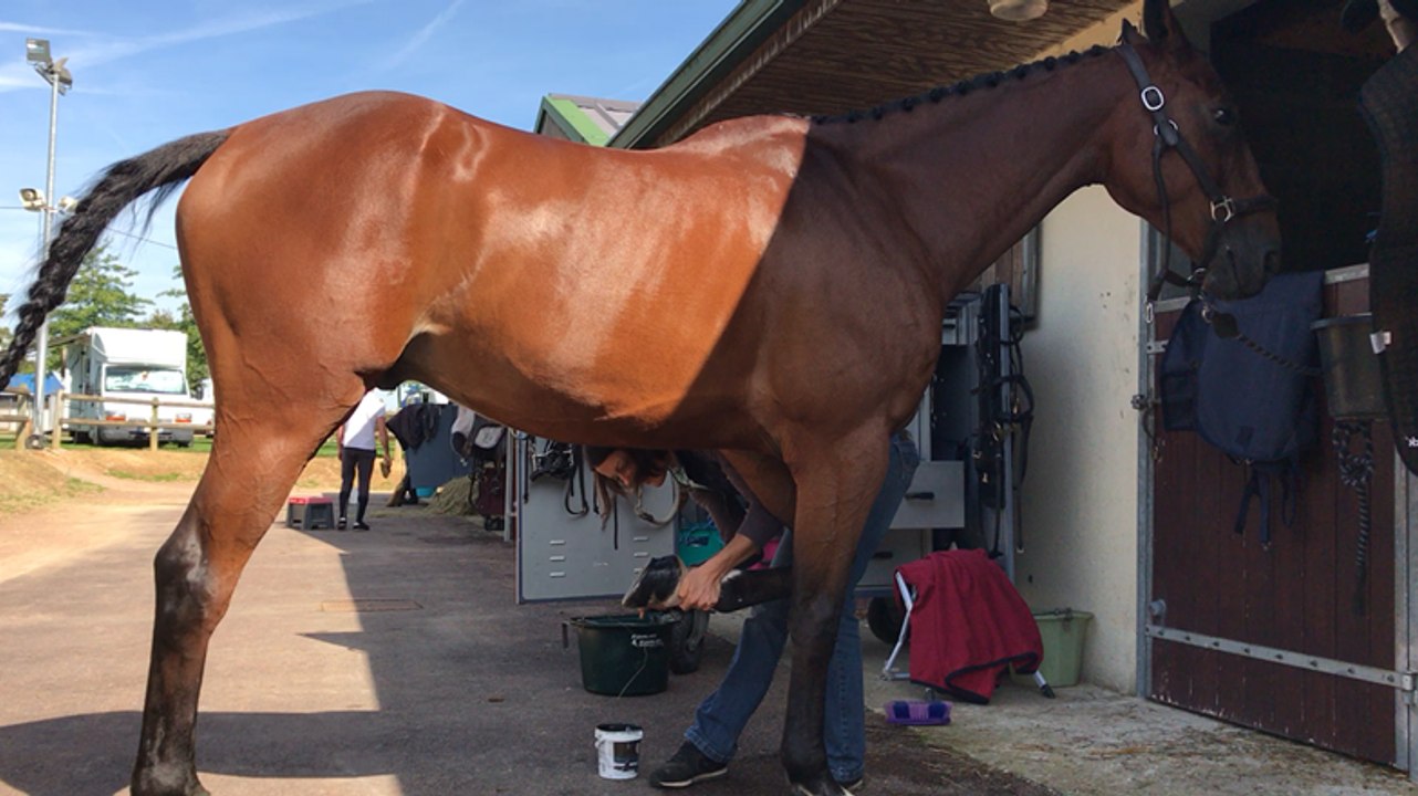 Émilie Guston, groom de Nicolas Touzaint, lors du concours complet international