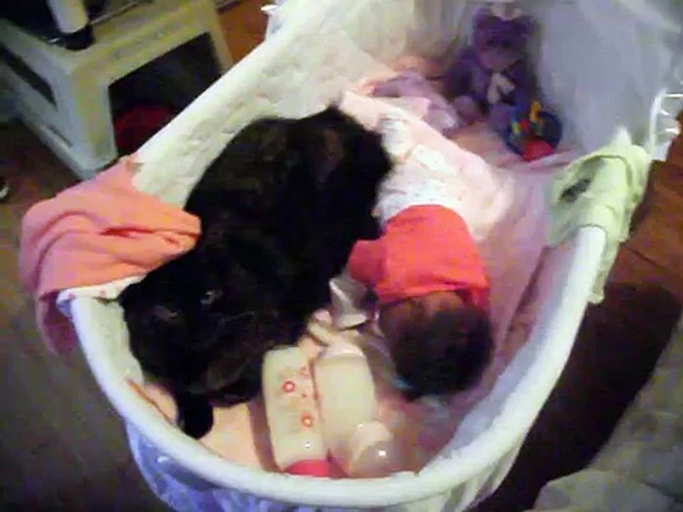 Another quick minute of cuteness-W1145XQBwJQ