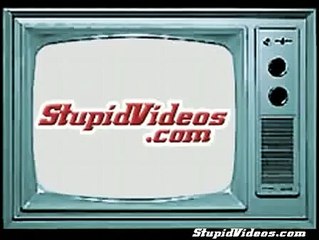 Bad Puppy Funny animals, comedy, dogs, cat-6q1jmy16Dx4