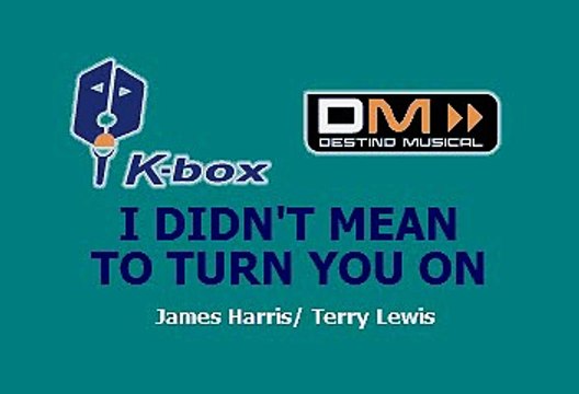 I DIDNT MEAN TO TURN YOU ON - ROBERT PALMER (KARAOKE)