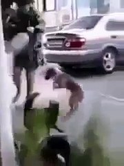 Cats Dogs Ah The Entertainment Funny Animal Videos-sqFmHUml97U