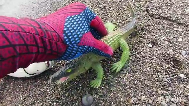 Sea Animals Alligator Shark Finding Nemo Frogs for Kids Learn Animal Names for Toddler Children Baby