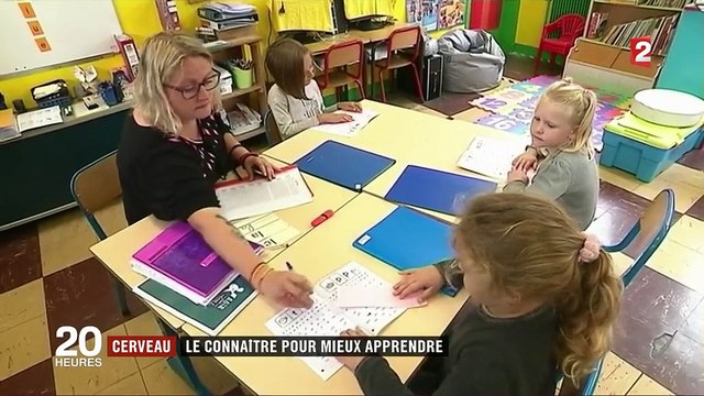 Cerveau : comment les neurosciences aident-elles à mieux apprendre ?