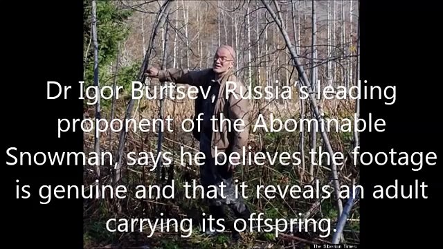 Russian Boys Film Bigfoot/Yeti Carrying a Baby