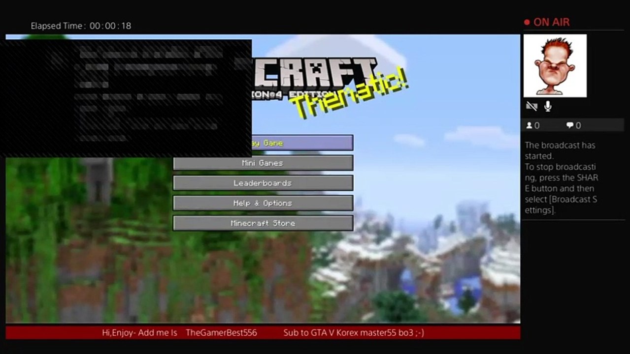 Minecraft (13)