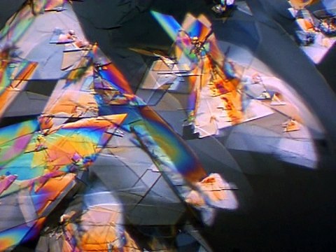 Body Atlas 2 | Glands and Hormones | Biyolojik Saat Hormonlar