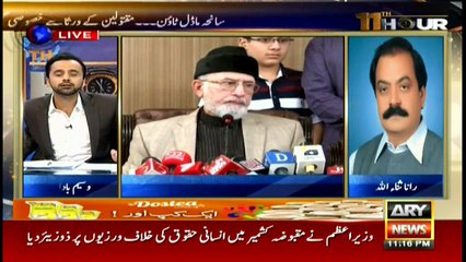 Shahbaz Sharif will visit London to meet Nawaz: Rana Sanaullah