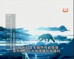 Ice Killers Arctic Cold Predators (Nature/Wildlife Documentary)