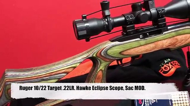 À les meilleures sa aime lapin sérieux tournage 22lr ruger 10/22