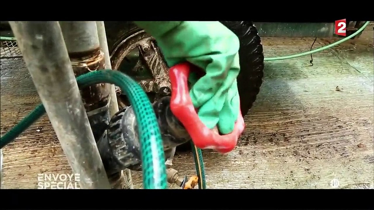 Les avocats du diable