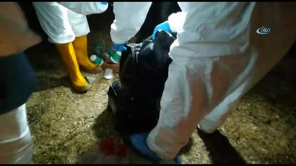 Jet Kazasının Yaşandığı Noktada İnceleme Yapıldı