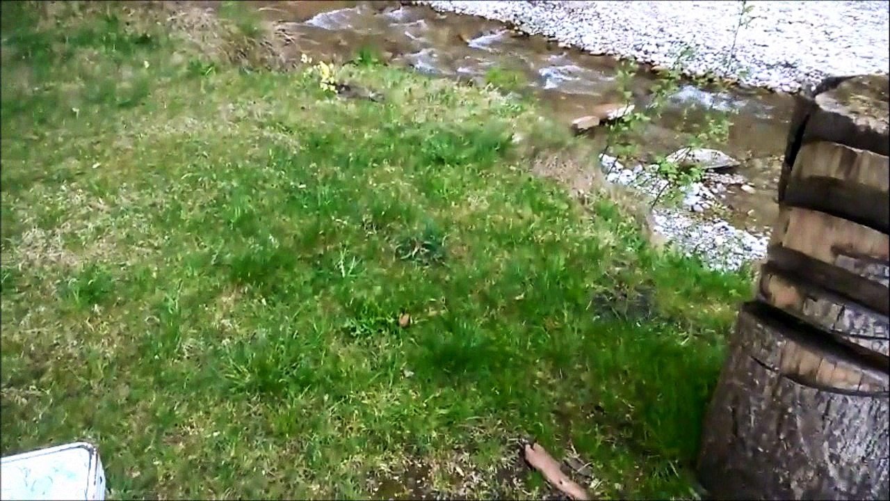 schweiz gold wasche 2017 erste clean out