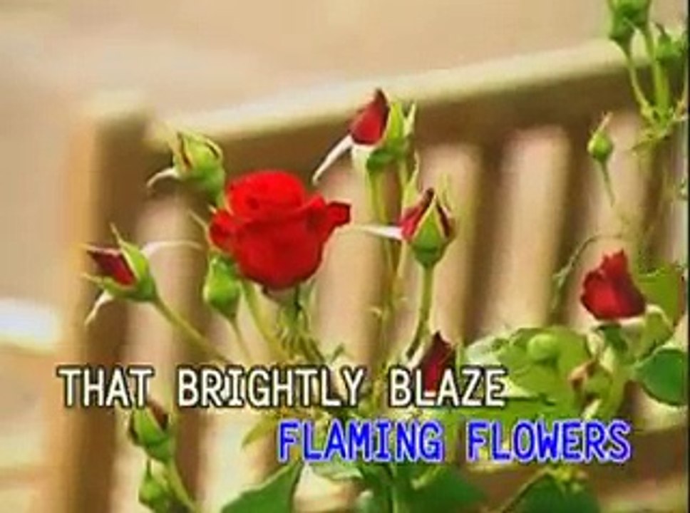 02 VINCENT - Don Mclean