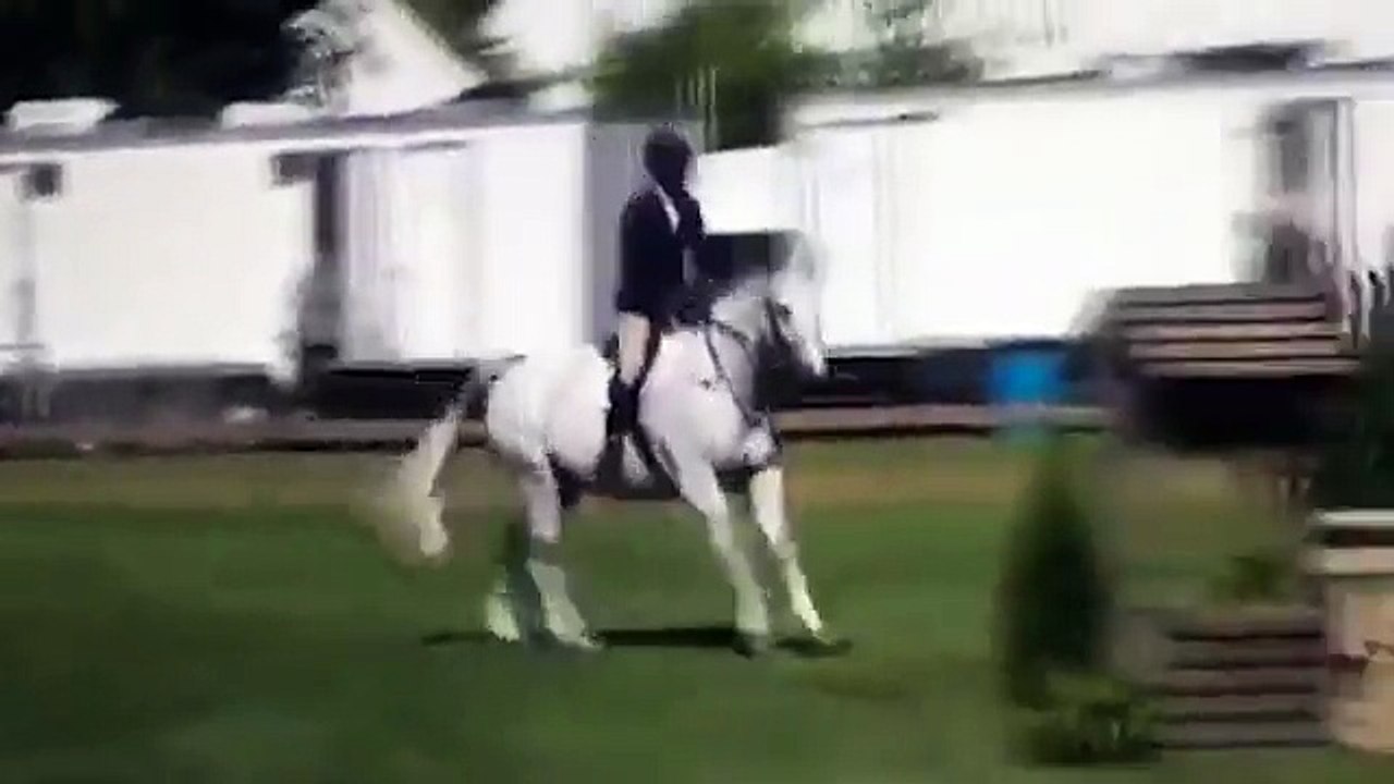 Johnson _ Johnson heiress 'tried to kick her horse' in NY