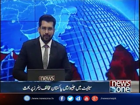 Discussion in senate on anti-Pakistan banners in Geneva